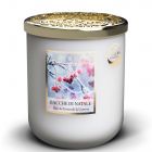 Bacche di Natale - 110g