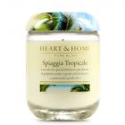 Spiaggia Tropicale - 340g