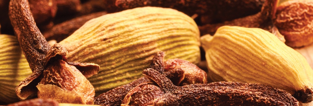 Profumo di Cardamomo