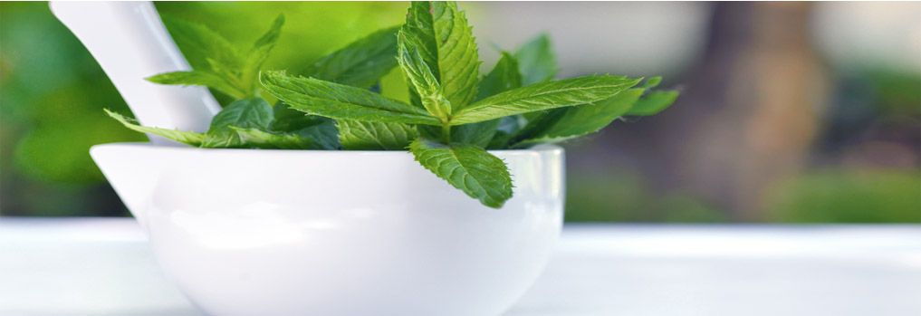 Profumo di Menta