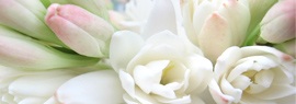 Profumo di Tuberosa