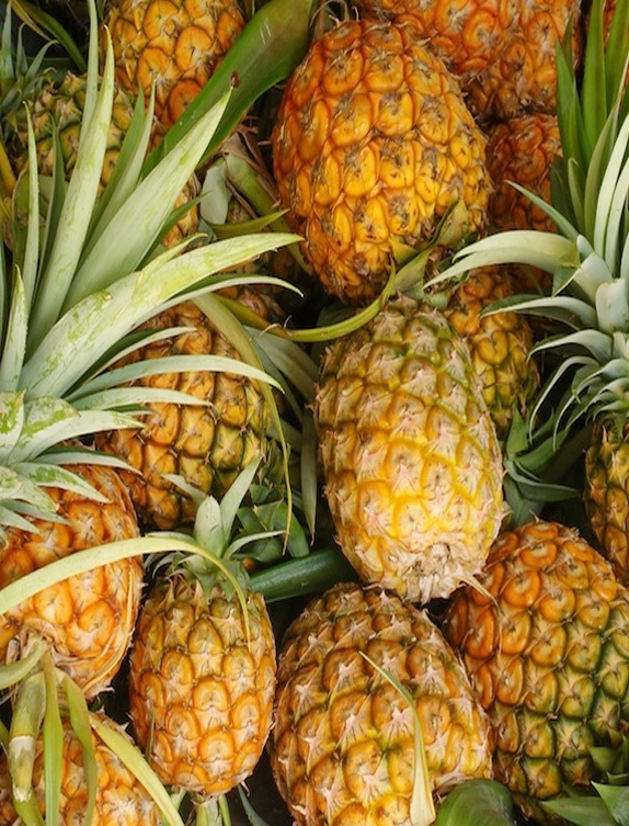Profumo di Ananas