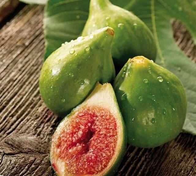 Profumo di Fico